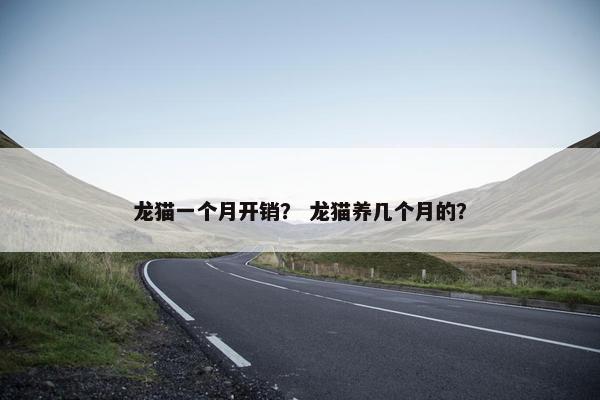 龙猫一个月开销？ 龙猫养几个月的？