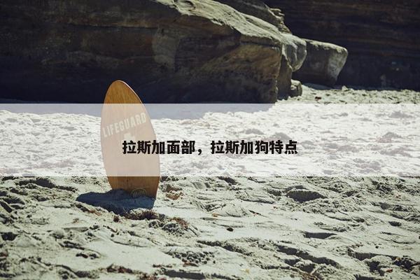 拉斯加面部，拉斯加狗特点