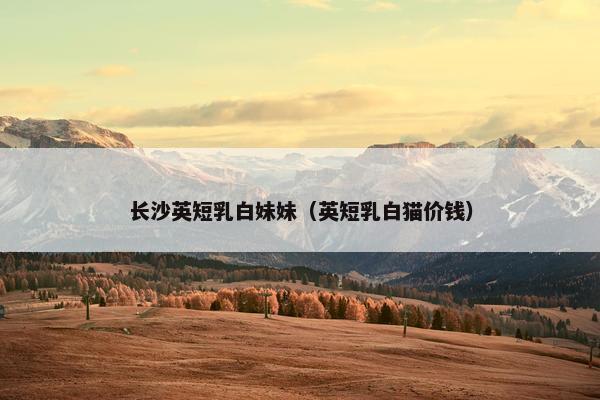 长沙英短乳白妹妹（英短乳白猫价钱）