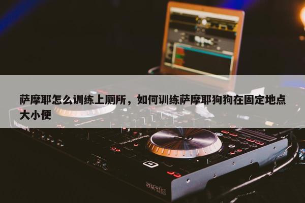 萨摩耶怎么训练上厕所，如何训练萨摩耶狗狗在固定地点大小便