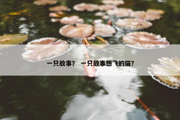一只故事？ 一只故事想飞的猫？