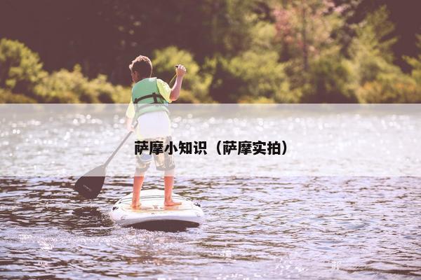 萨摩小知识（萨摩实拍）