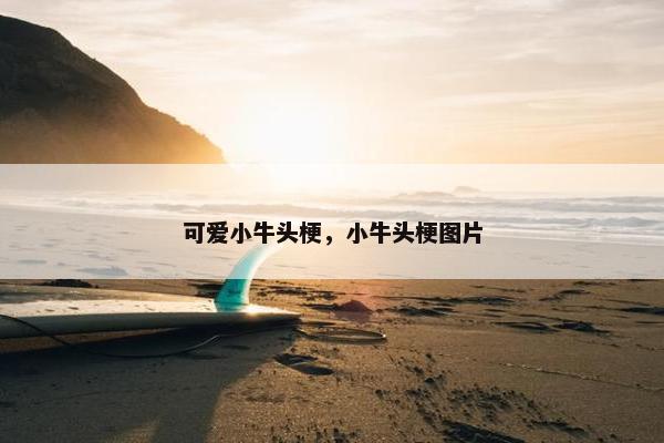 可爱小牛头梗，小牛头梗图片