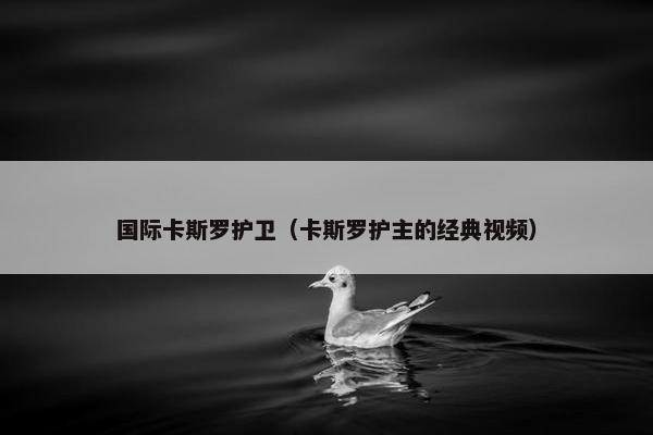 国际卡斯罗护卫（卡斯罗护主的经典视频）