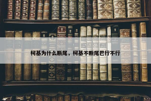 柯基为什么断尾,柯基不断尾巴行不行