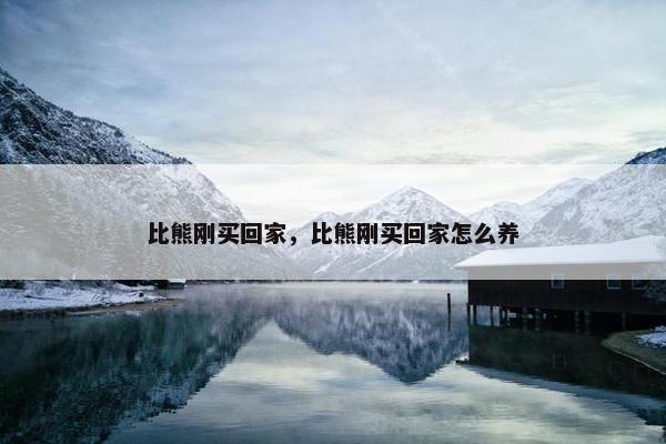 比熊刚买回家，比熊刚买回家怎么养