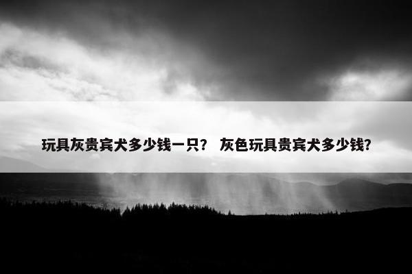 玩具灰贵宾犬多少钱一只？ 灰色玩具贵宾犬多少钱？