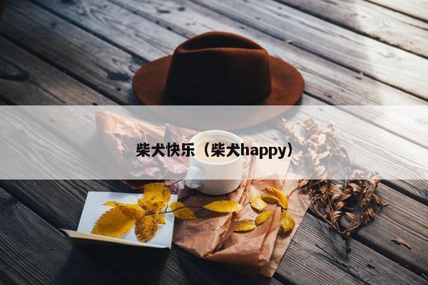柴犬快乐(柴犬happy)