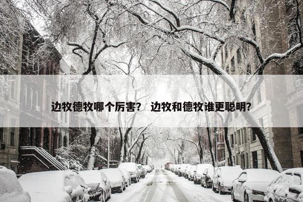 边牧德牧哪个厉害？ 边牧和德牧谁更聪明？