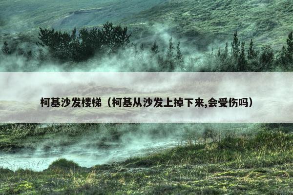 柯基沙发楼梯(柯基从沙发上掉下来,会受伤吗)