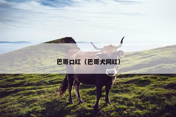 巴哥口红（巴哥犬网红）