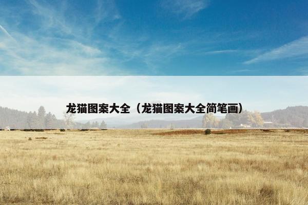 龙猫图案大全（龙猫图案大全简笔画）