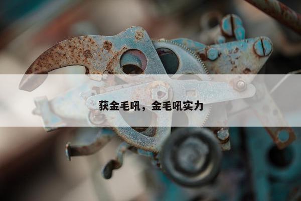 获金毛吼，金毛吼实力