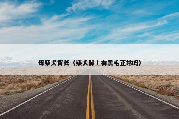 母柴犬背长(柴犬背上有黑毛正常吗)