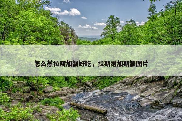 怎么蒸拉斯加蟹好吃，拉斯维加斯蟹图片