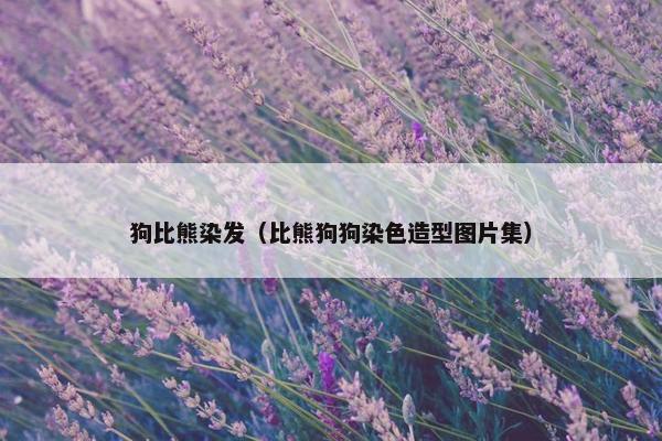 狗比熊染发(比熊狗狗染色造型图片集)