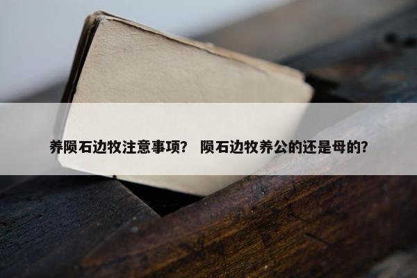 陨石