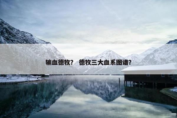 输血德牧? 德牧三大血系图谱?