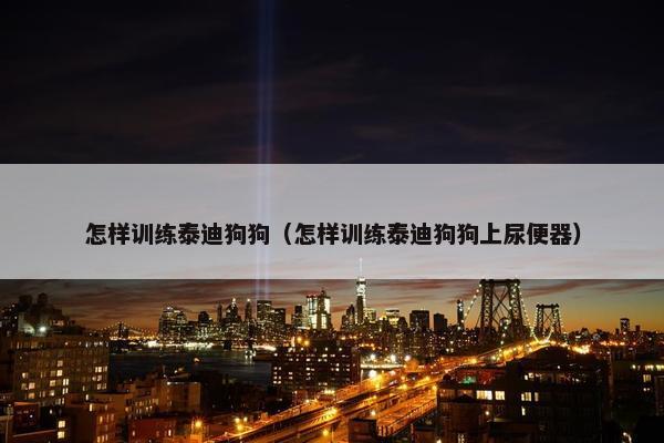 怎样训练泰迪狗狗（怎样训练泰迪狗狗上尿便器）