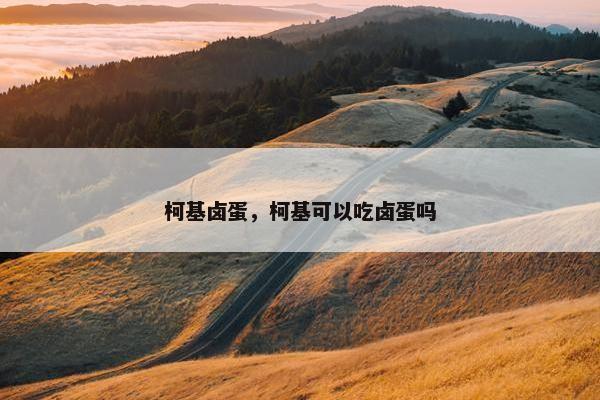 柯基卤蛋，柯基可以吃卤蛋吗