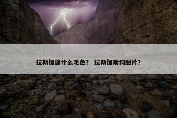 拉斯加属什么毛色？ 拉斯加斯狗图片？