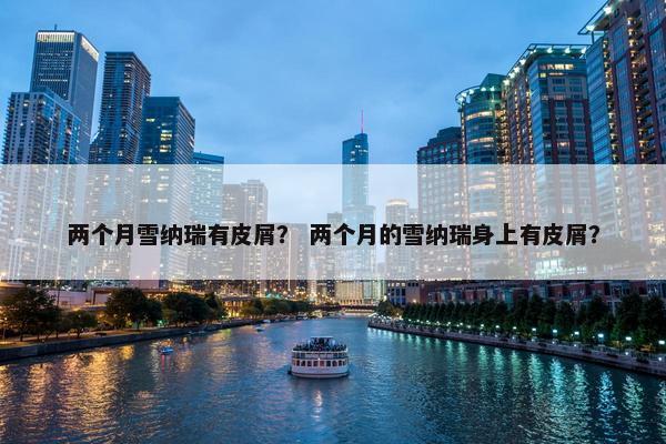 两个月雪纳瑞有皮屑？ 两个月的雪纳瑞身上有皮屑？