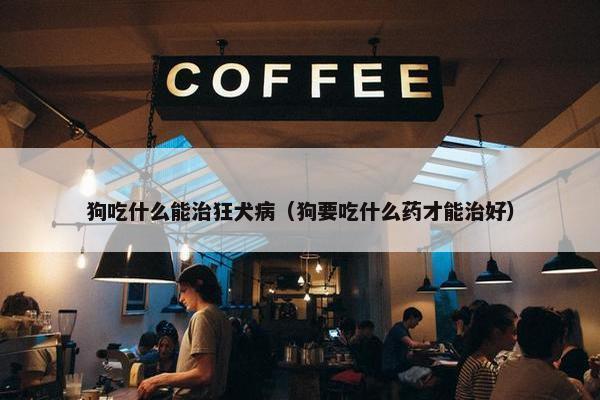 狗吃什么能治狂犬病(狗要吃什么药才能治好)