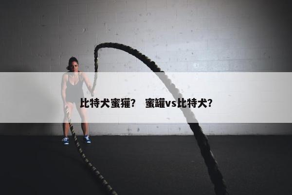 比特犬蜜獾？ 蜜罐vs比特犬？