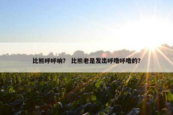 比熊呼呼响？ 比熊老是发出呼噜呼噜的？