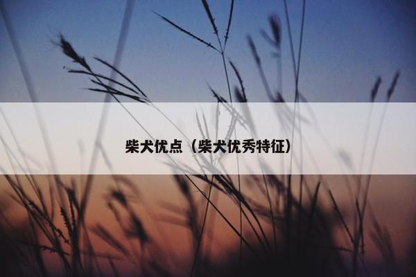 包括