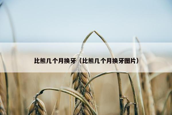 开始