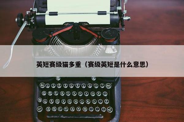 英短赛级猫多重（赛级英短是什么意思）