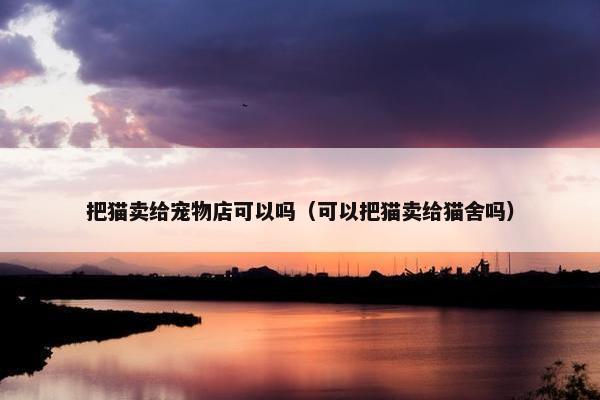 把猫卖给宠物店可以吗（可以把猫卖给猫舍吗）