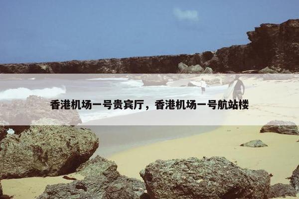 贵宾