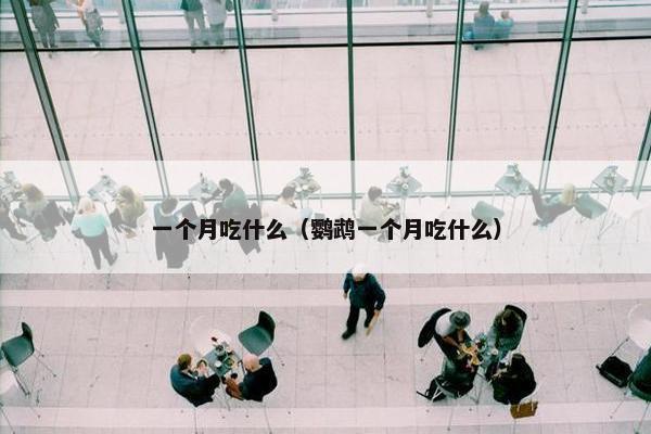 一个月吃什么（鹦鹉一个月吃什么）