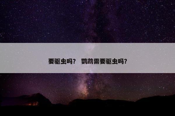 要驱虫吗？ 鹦鹉需要驱虫吗？
