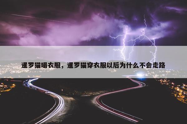 暹罗猫嘬衣服，暹罗猫穿衣服以后为什么不会走路