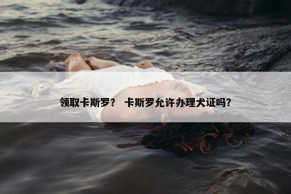卡斯罗