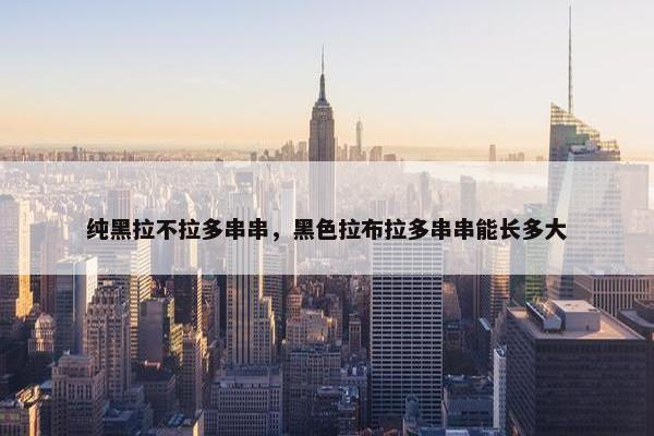 纯黑拉不拉多串串，黑色拉布拉多串串能长多大
