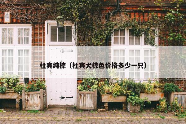 杜宾纯棕（杜宾犬棕色价格多少一只）