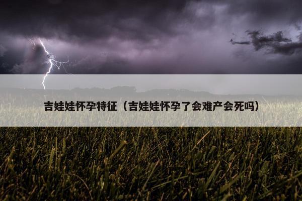 吉娃娃怀孕特征（吉娃娃怀孕了会难产会死吗）