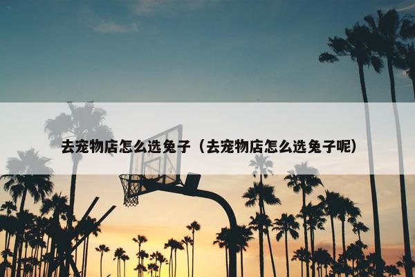 去宠物店怎么选兔子(去宠物店怎么选兔子呢)