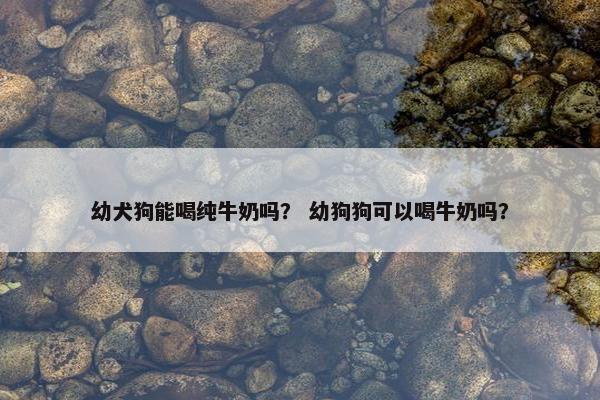 幼犬狗能喝纯牛奶吗? 幼狗狗可以喝牛奶吗?