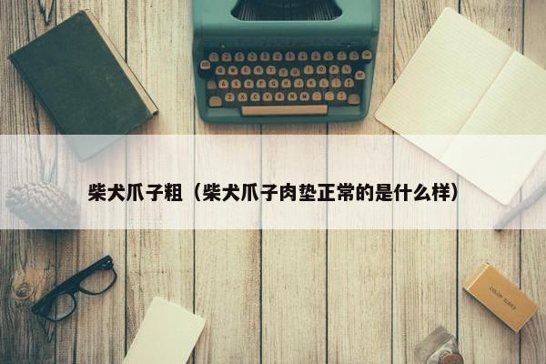 柴犬爪子粗（柴犬爪子肉垫正常的是什么样）