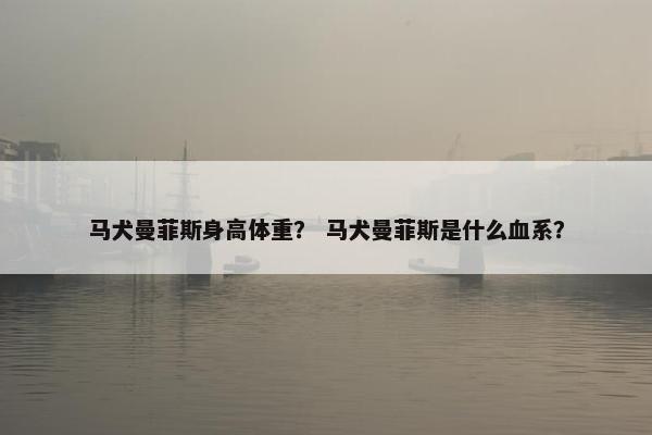 罗宾