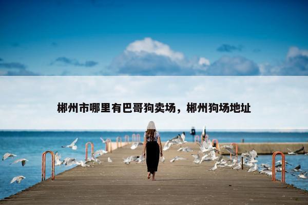 郴州市哪里有巴哥狗卖场，郴州狗场地址