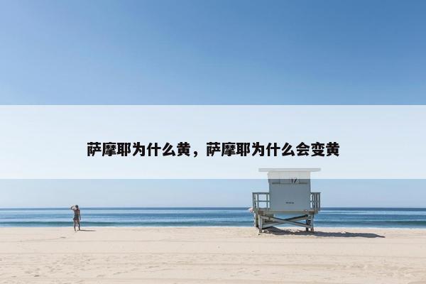 萨摩耶为什么黄，萨摩耶为什么会变黄