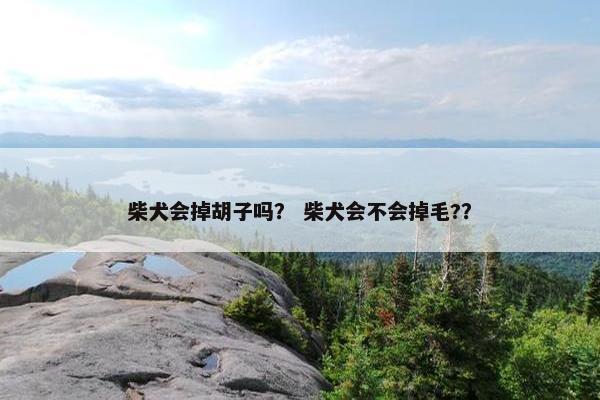 柴犬会掉胡子吗？ 柴犬会不会掉毛?？