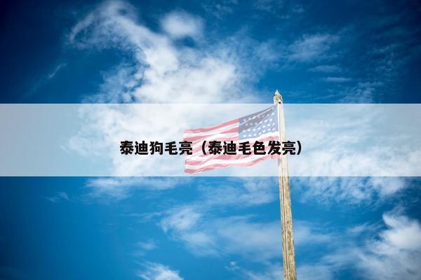 泰迪狗毛亮（泰迪毛色发亮）