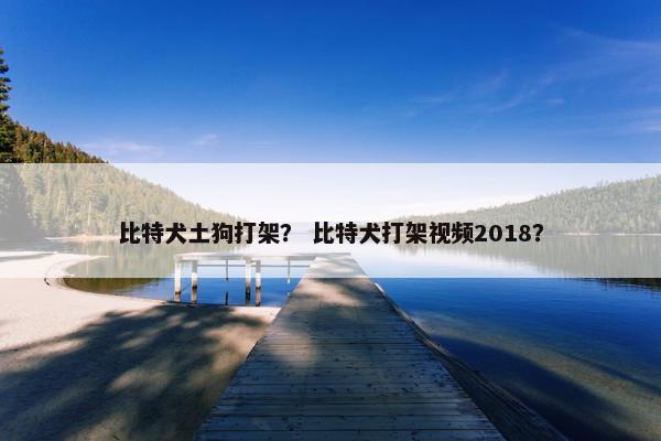比特犬土狗打架？ 比特犬打架视频2018？